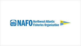 북대서양수산기구(NAFO)